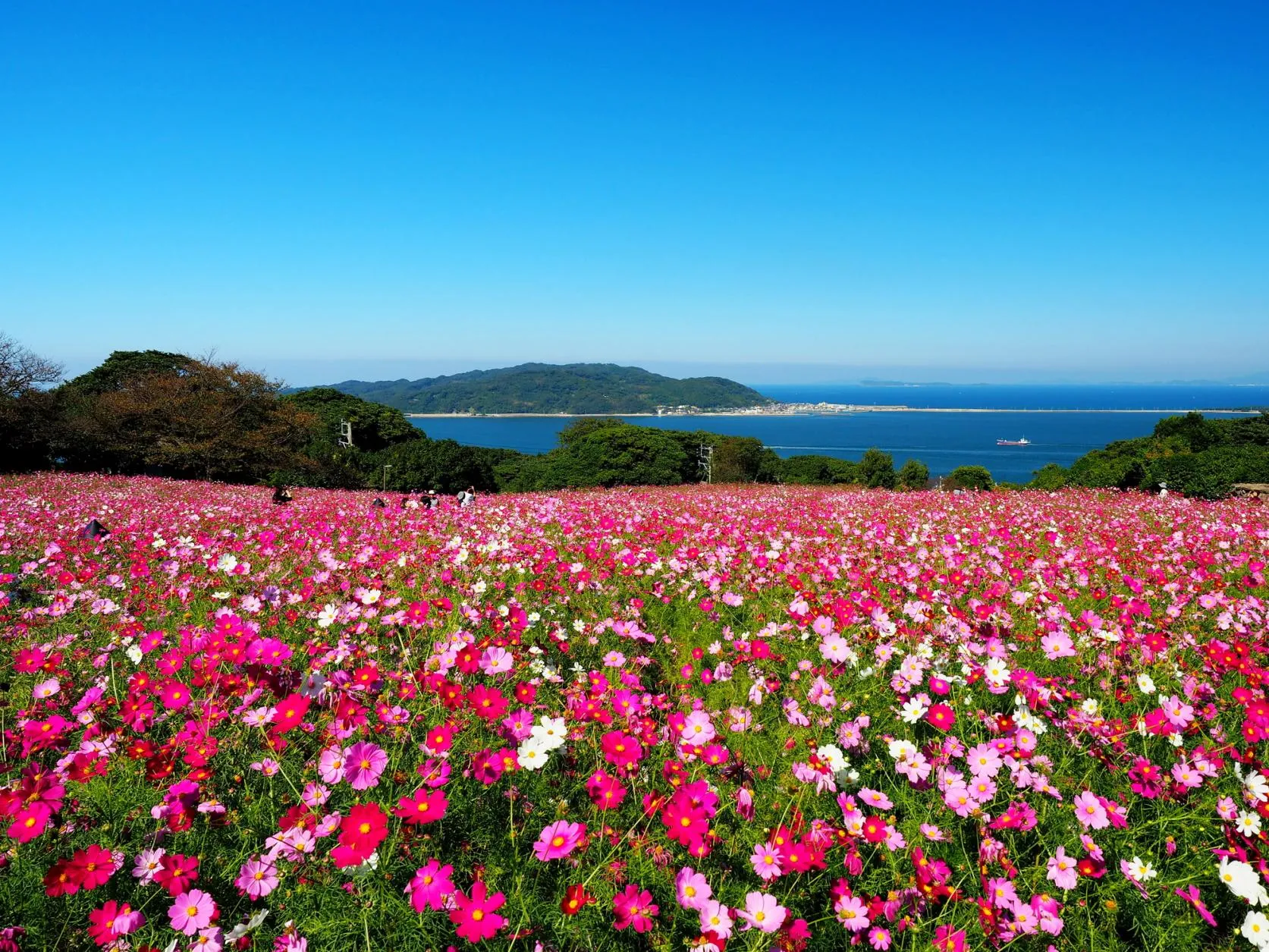 能古島