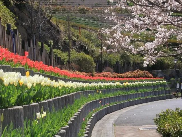 建徳寺古墳公園