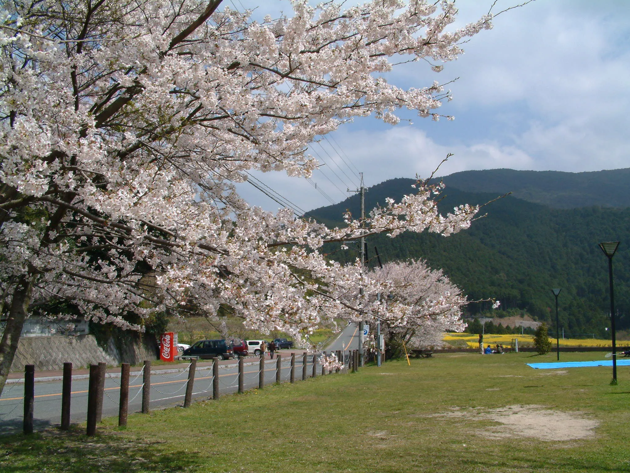 樹芸の森公園