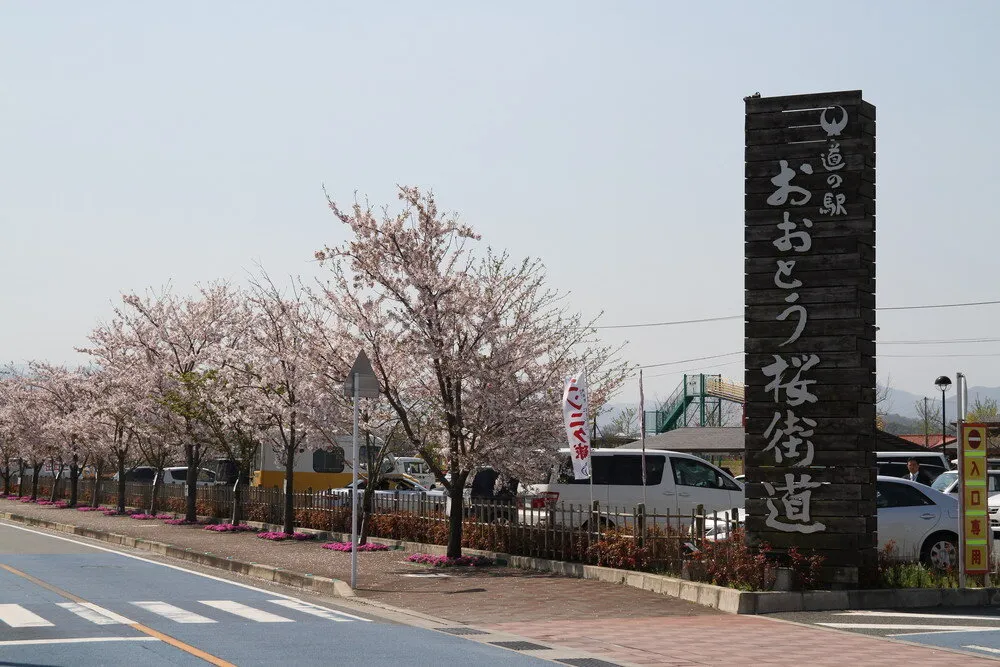 道の駅おおとう桜街道