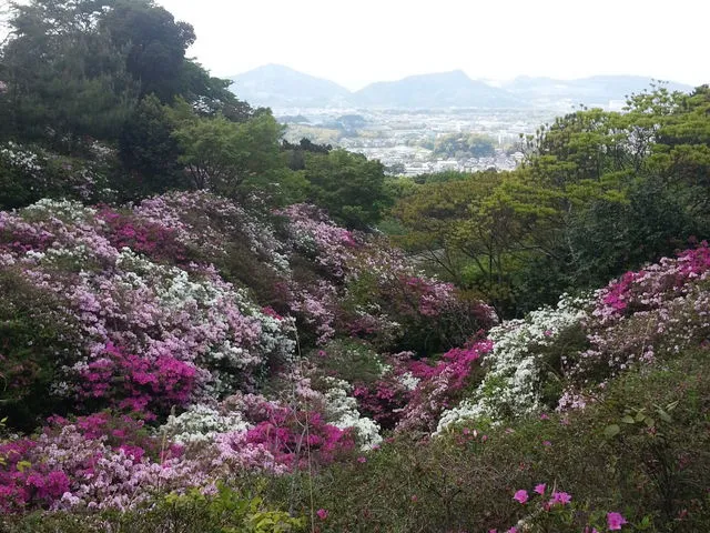 須恵町立皿山公園