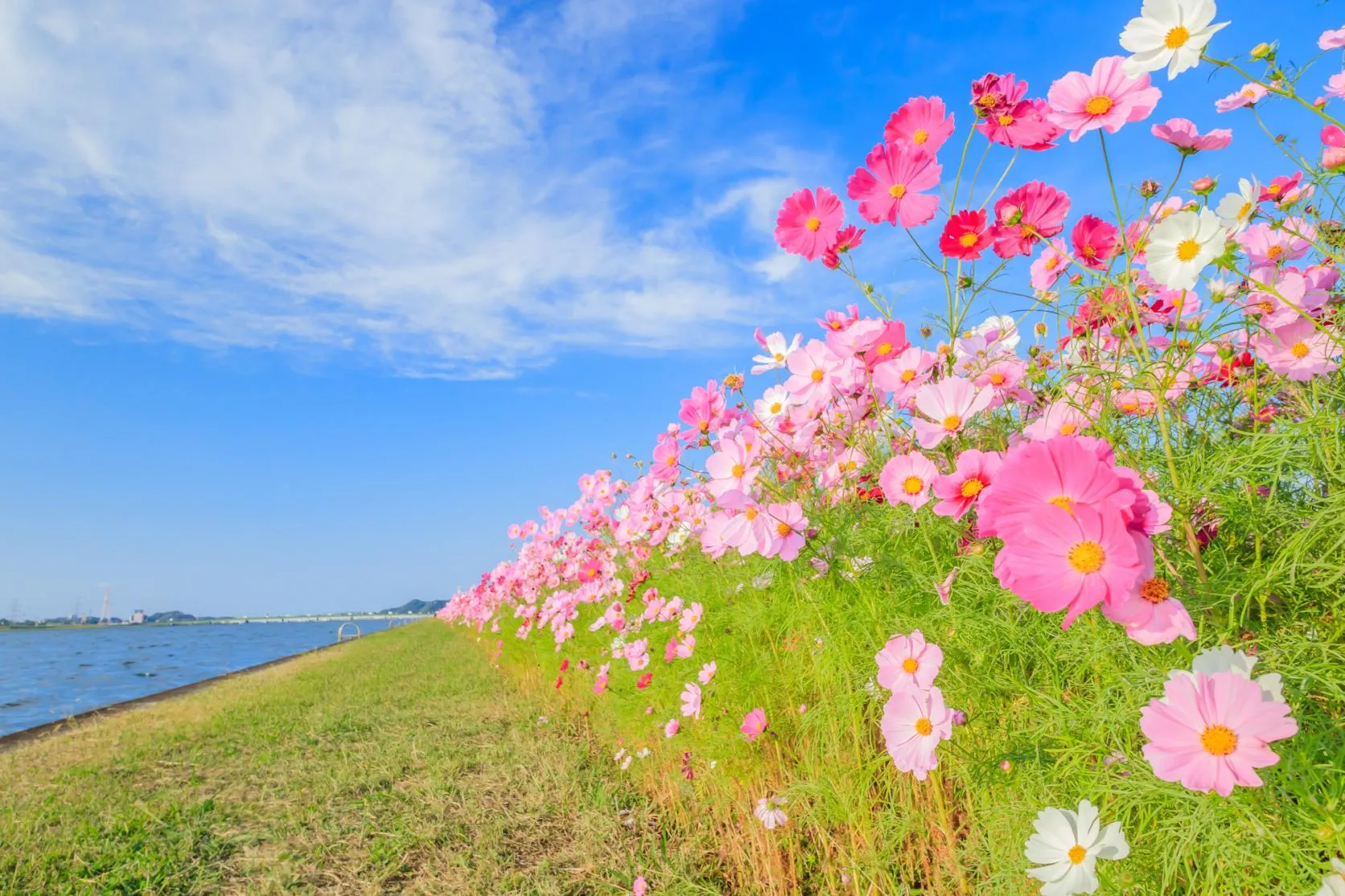 遠賀川